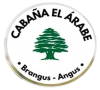 LOGO CABAÑA TRANSPARENTE2