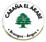 LOGO CABAÑA TRANSPARENTE2